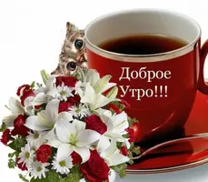 красивые-пожелания-с-добрым-утром-открытки.webp
