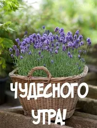 4653afcb18c4553ca0fa91226d1438fa.webp