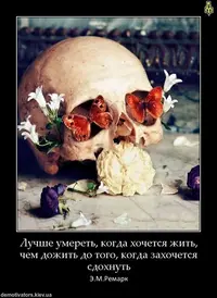 image (12).webp