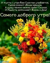 IMG_20201013_061205_607.webp