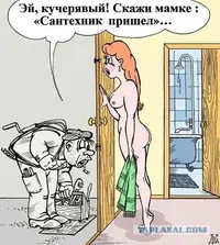 5931627.webp