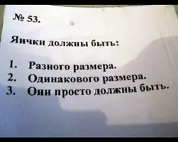 C53B288E-92E1-489B-9230-5F1C072E0676.webp