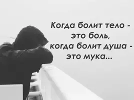 5dd08cf23784c.webp