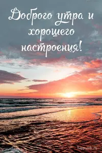 9e53871afeffcaf8bc0e3fa0c06b0443.webp