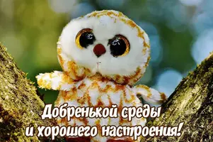 dobroj-sredy_2.webp