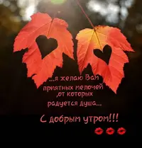 Screenshot_20201006_173921.webp