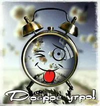изображение_viber_2020-10-12_07-31-00.webp