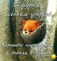04e5d97624e8f0350ae6067221181c9a.webp