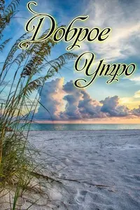 c24d39842e37ea6f59fb04ff022be44e.webp