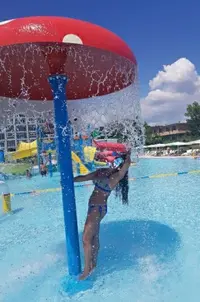 2020-10-15-17-05-26-535_copy_381x575.webp