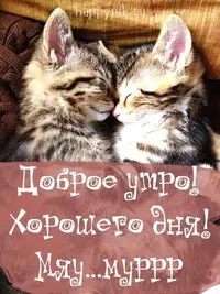 dc38c07fc0af7964dacc730830c82f7d.webp
