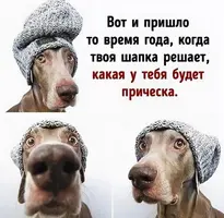 i (1).webp