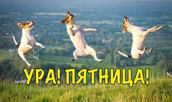 1459617_original.webp