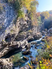 378969EF-57F2-4285-9C65-0D3CA5FC3724.webp