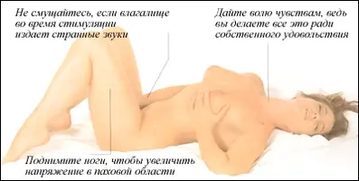 181_3.webp