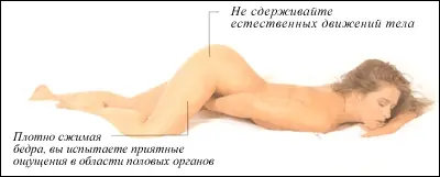 181_1.webp