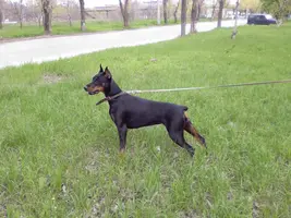 Photo-002.webp