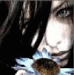 OnLy3.gif