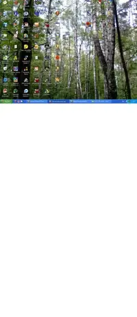 1.webp