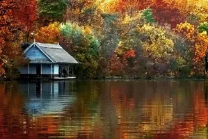 autumn_on_the_lake_by_maradamian.webp