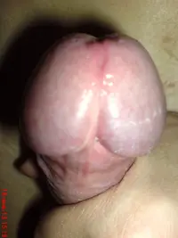 DSC03002.webp