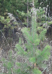 20201018_124459.webp