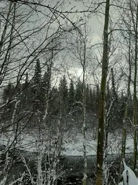 20201018_104621.webp