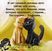 Screenshot_20201015_191246.webp