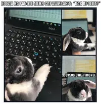 1568367676122498185.webp