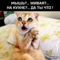 5f650ba0e192443f53863631c1e1faab.webp