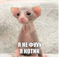 44e1a03e9a4f2d29331008d8d22b920c.webp