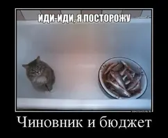 c9bbe877862f53fb76eabc37b4a61a06.webp