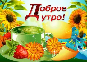 JPrYo-gap (1).webp