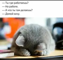 3697b1acd0014ffa486031e98f7f167a.webp