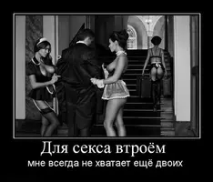 unnamed (27).webp