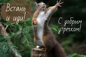 bd5447632aefa4eaca559df9bf79d4b7.webp