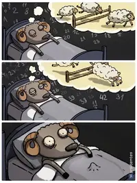 yaNw4cC3KMg.webp
