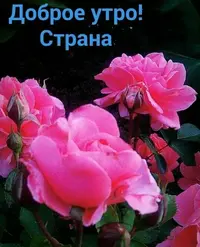 tmp-cam-2113359750.webp