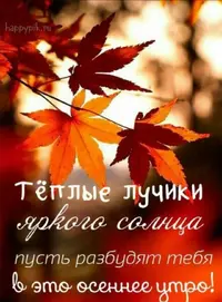 Screenshot_20201020_135944.webp