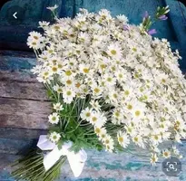 5a59e756dc96230294e6a7b8c5d06148.webp