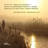 Ypneb5gqByQ.webp