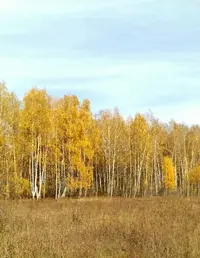 tmp-cam-911226358.webp