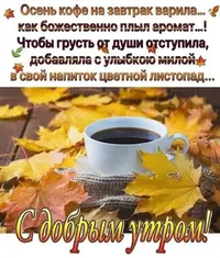 IMG-20201017-WA0011.webp