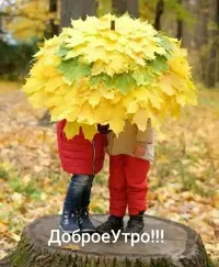 IMG-20201023-WA0002.webp