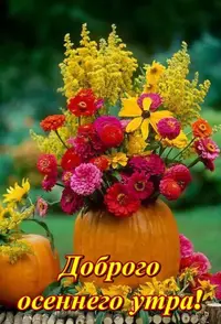 IMG-20201026-WA0001.webp