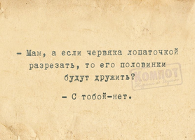 VK_Saved_Photo_ 636638941616313321.webp