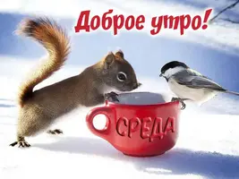 dobroe-zimnee-utro-sreda.webp