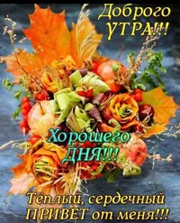 IMG-20201014-WA0010.webp