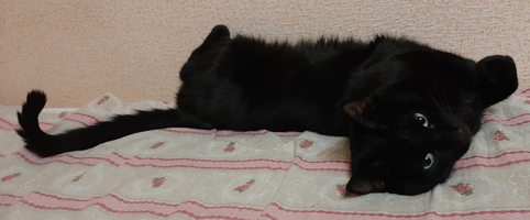 20201029_084451.webp