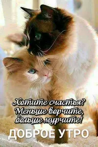 d93e660c25ba0f8355f088cdf6f35c03.webp